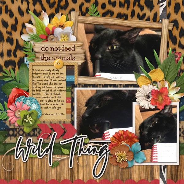 Wild Thing