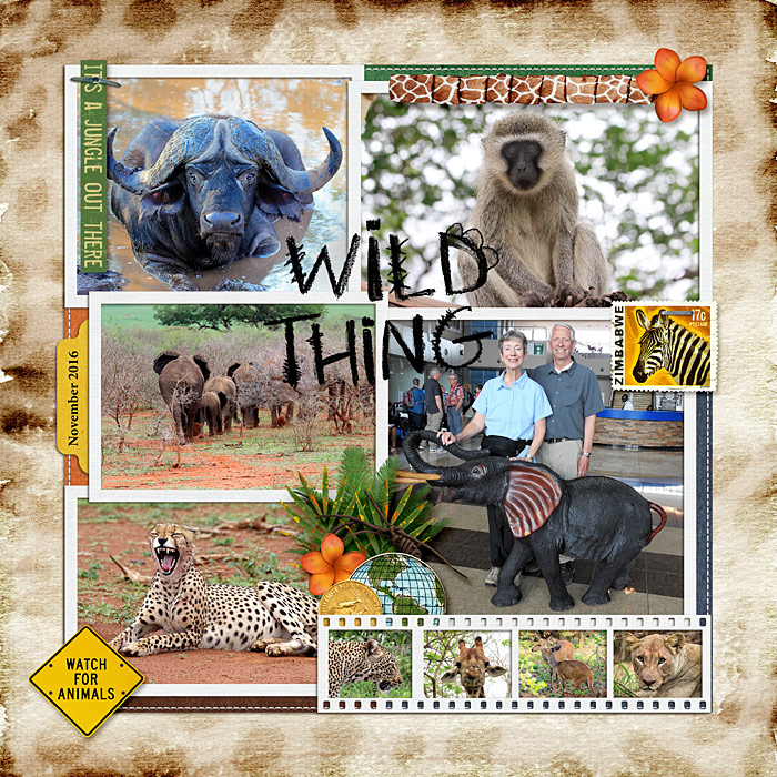 Wild Thing