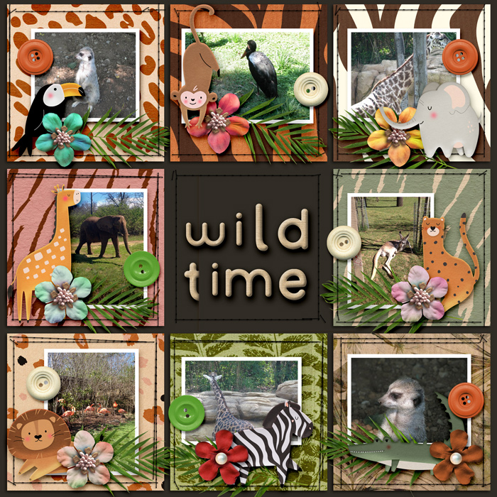 Wild Time