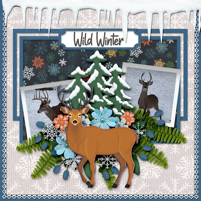 Wild Winter