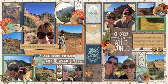 Wild World November 2017