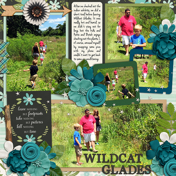 Wildcat Glades