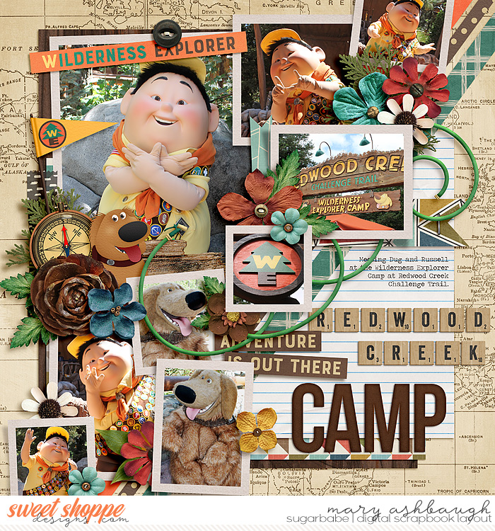 Wilderness Explorer