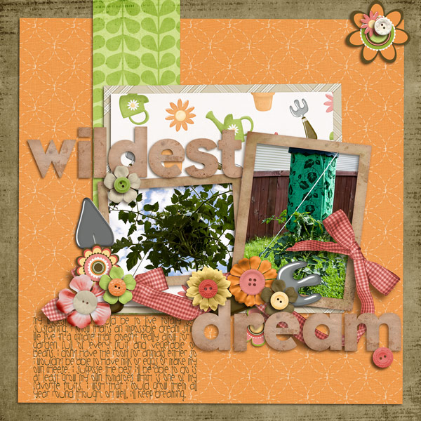 Wildest Dream