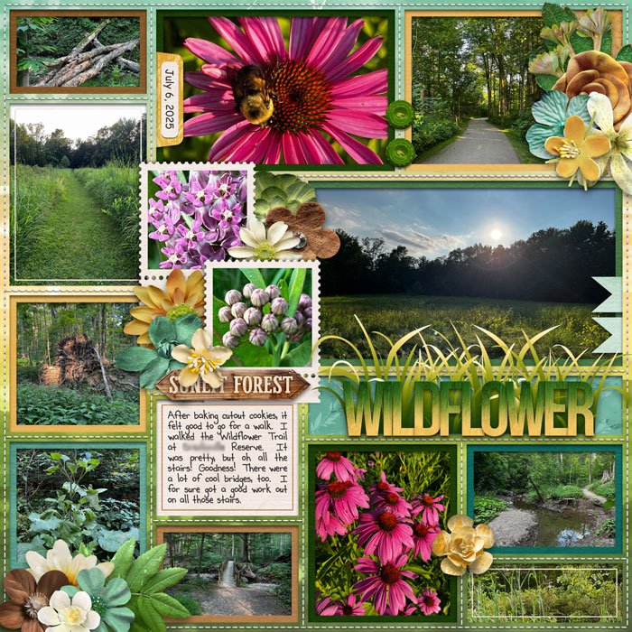 Wildflower (left)