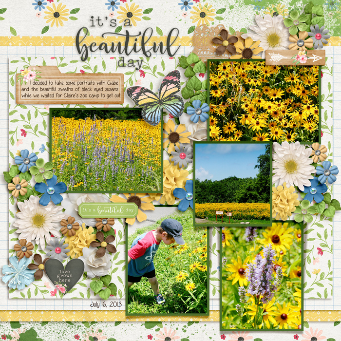 wildflower portraits