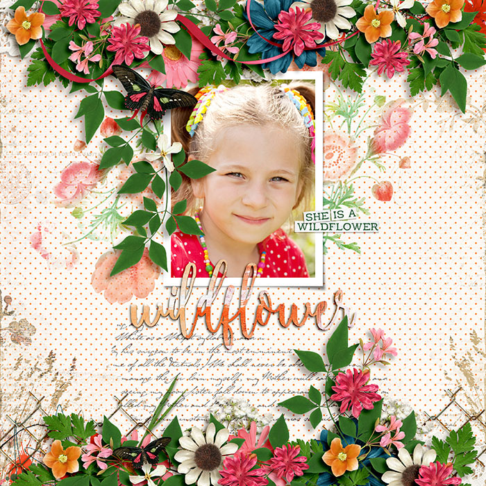 Wildflower