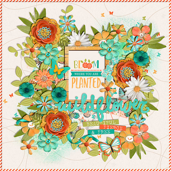 wildflower