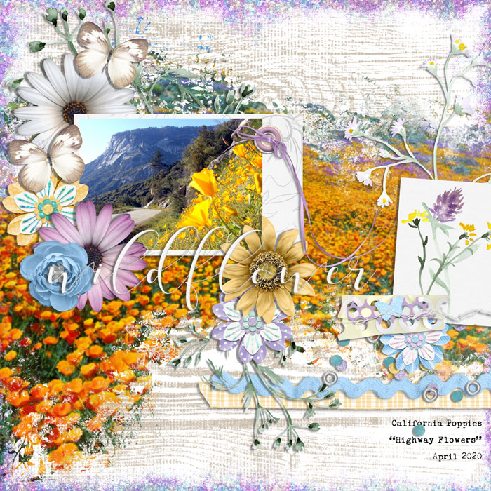wildflower