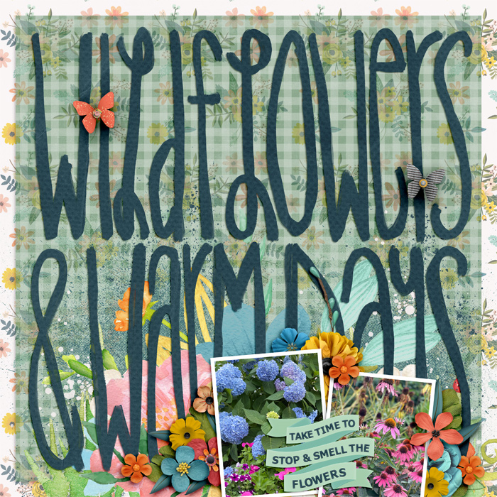 Wildflowers and Warm Days