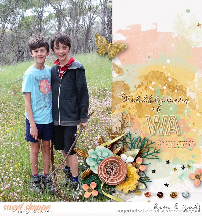 Wildflowers of WA