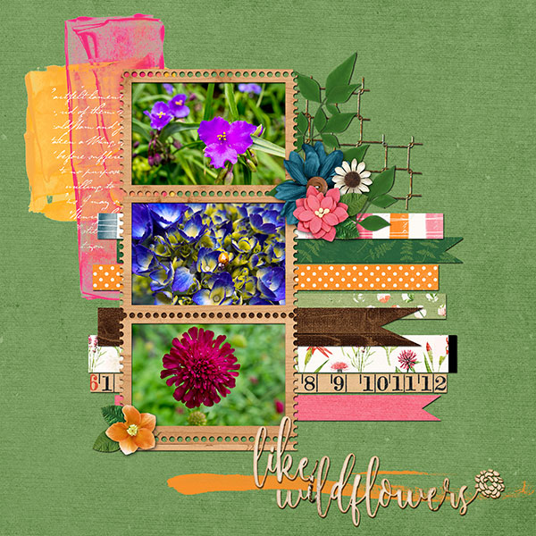 Wildflowers