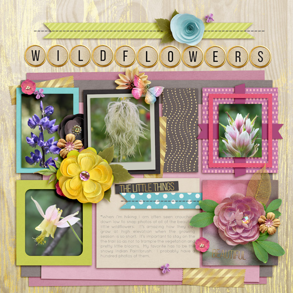 Wildflowers