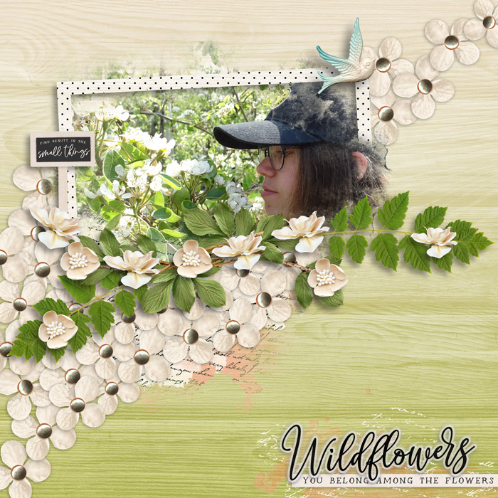 Wildflowers