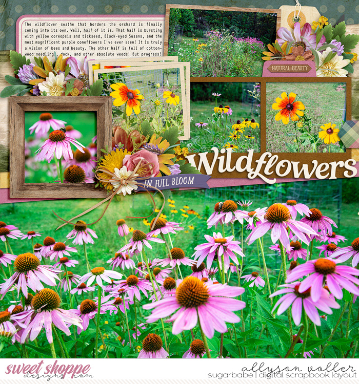 Wildflowers