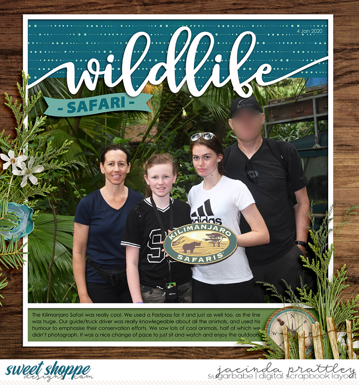 Wildlife Safari 1