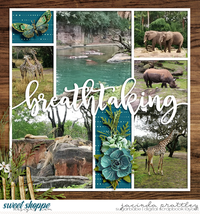 Wildlife Safari 2
