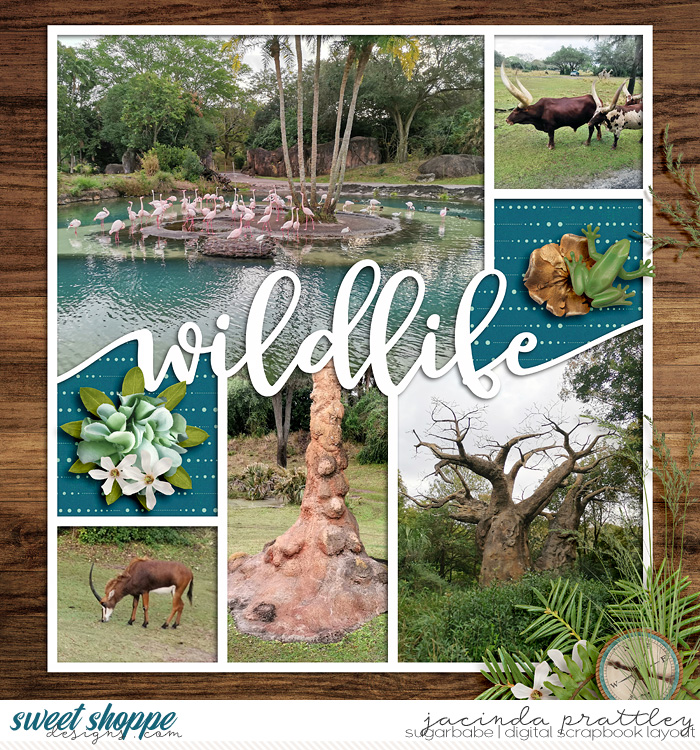 Wildlife Safari 3