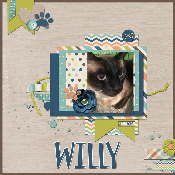 Willy