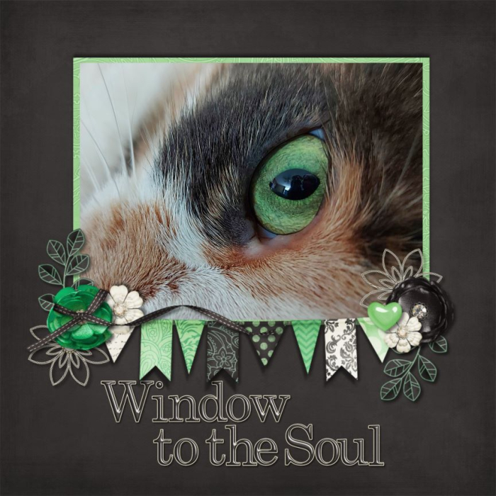Window to the Soul