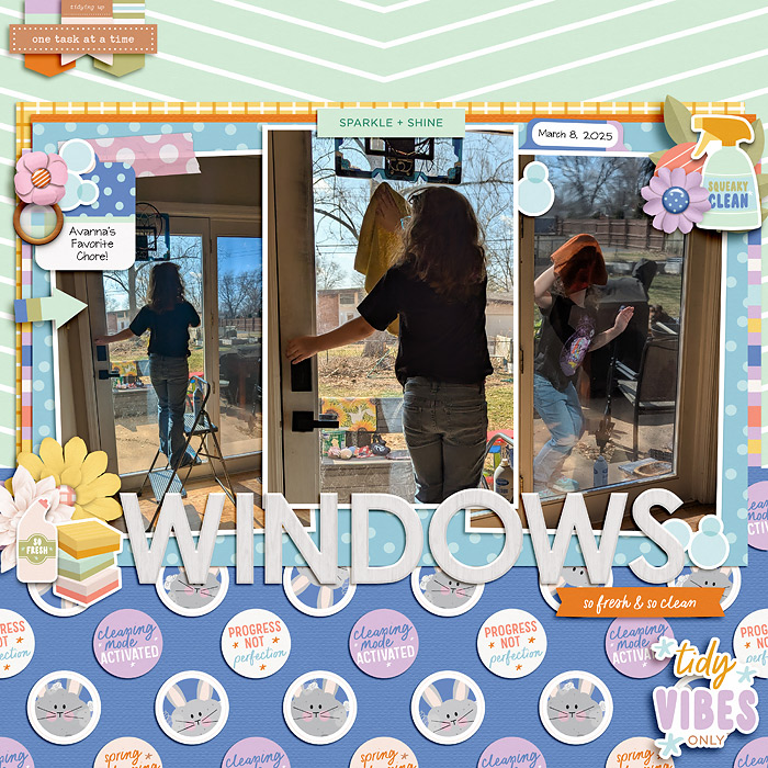 Window Washing