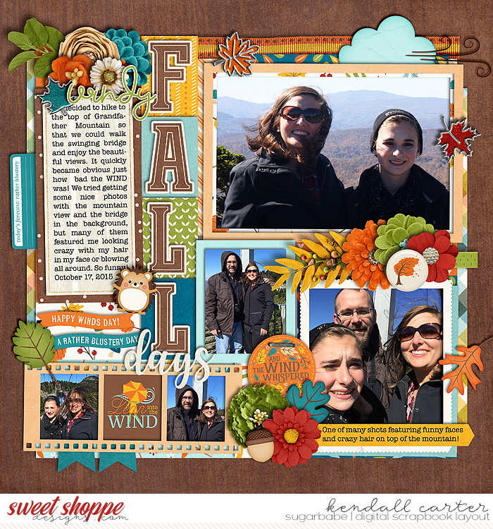 Windy Fall Days