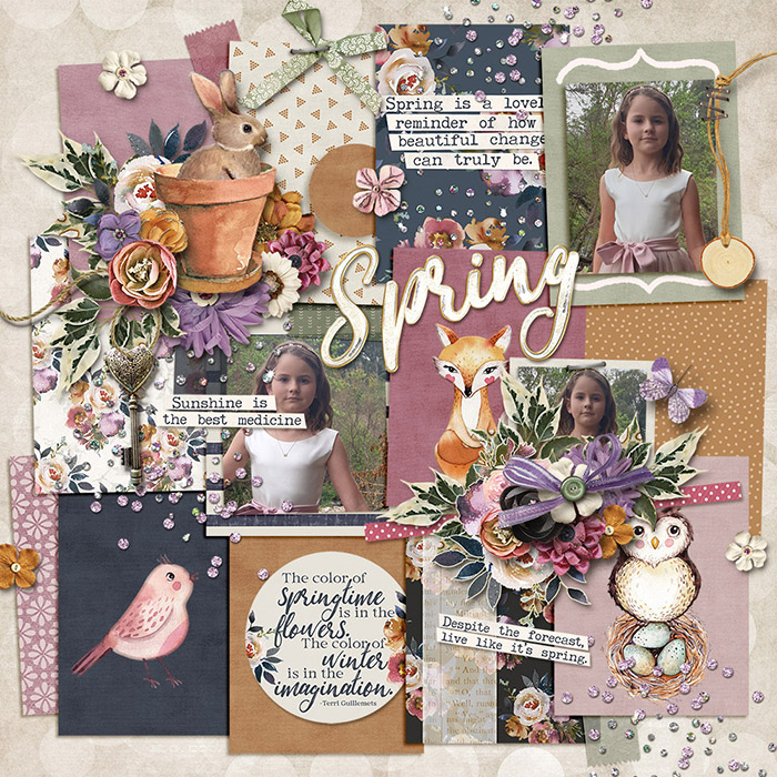 Winer to Spring