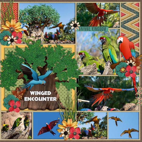 Winged Encounter