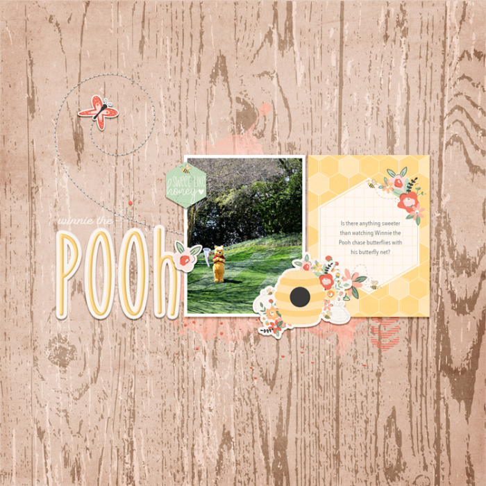 Winnie the Pooh