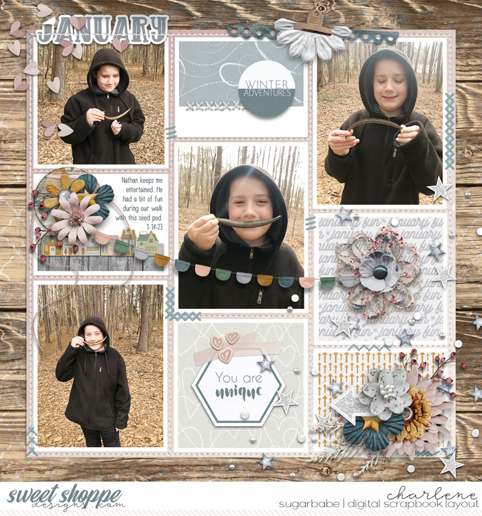 Winter Adventures