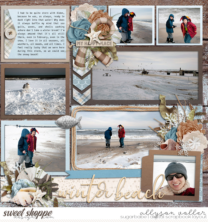 Winter Beach right