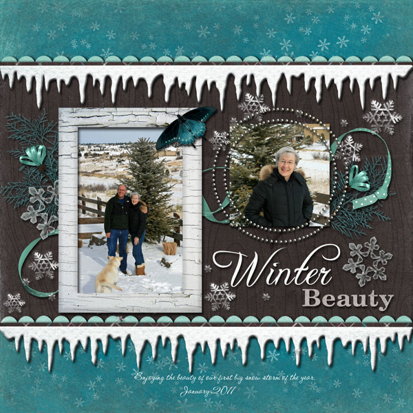 Winter Beauty