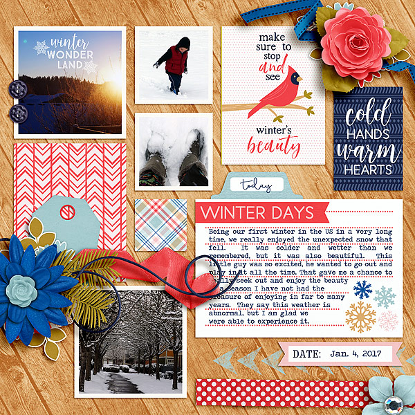 Winter Beauty