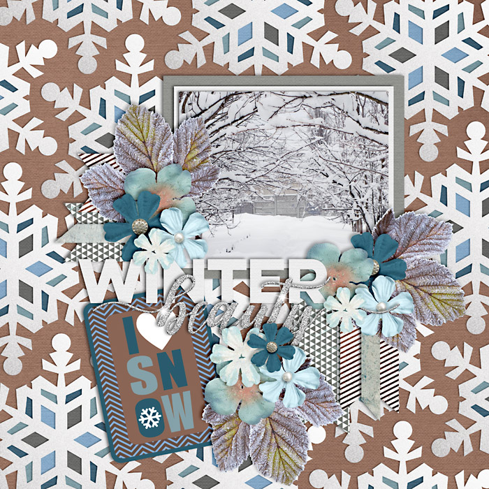 Winter Beauty