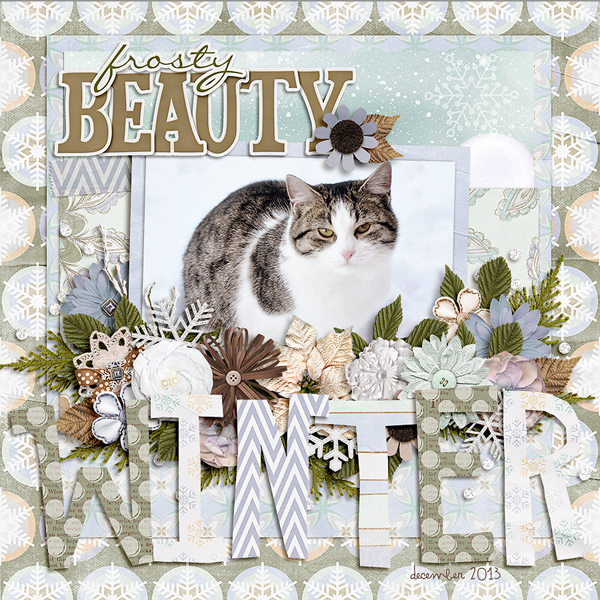 winter beauty