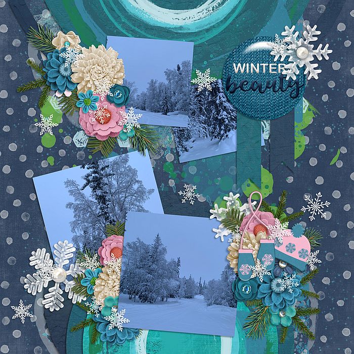 Winter Beauty
