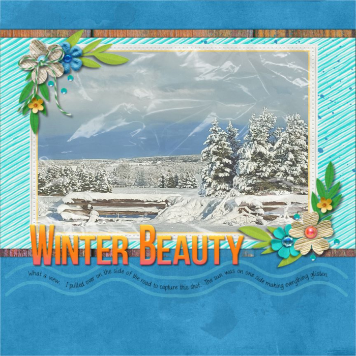 Winter Beauty