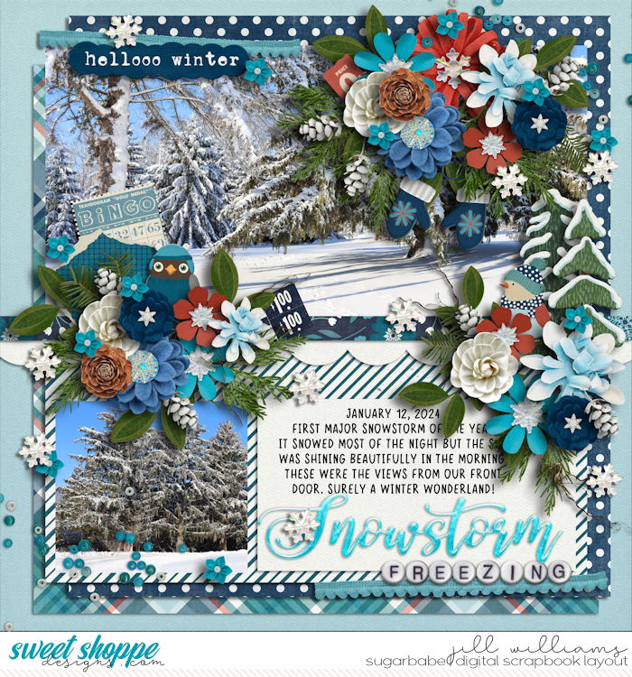 Winter Beauty