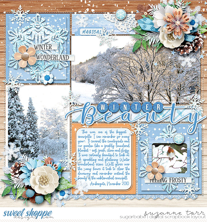 Winter Beauty