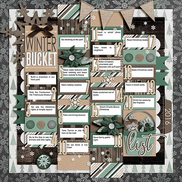 Winter Bucket List