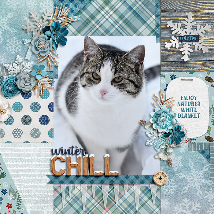 winter chill