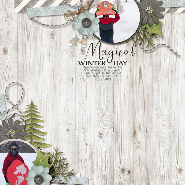 Winter Day