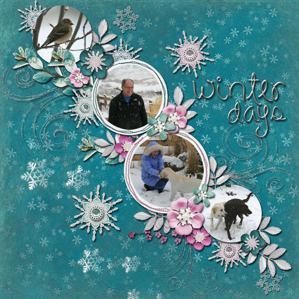 Winter Days