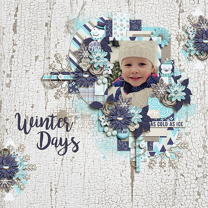 Winter Days