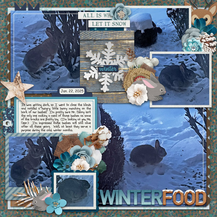 Winter Food