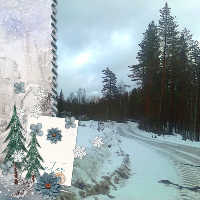 winter forest roads.jpg