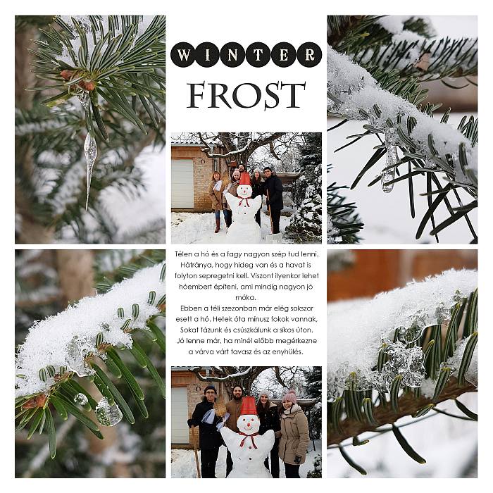 Winter frost