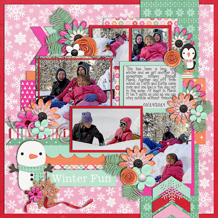 Winter Fun
