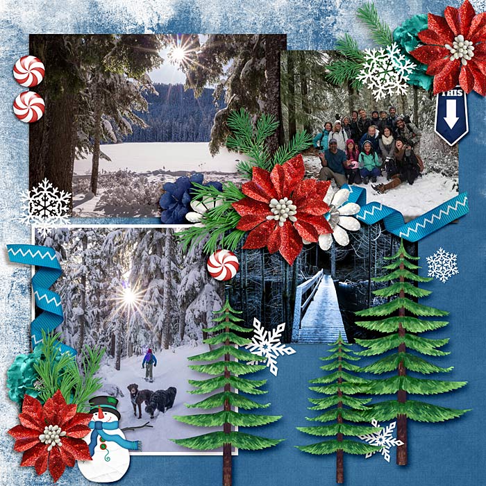 Winter Fun