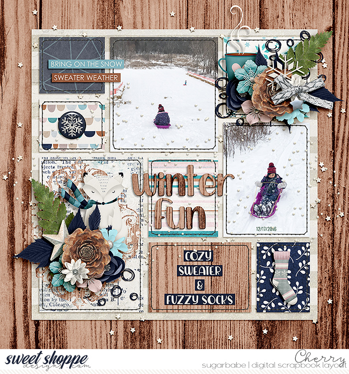 Winter Fun